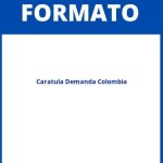 Formato Caratula Demanda Colombia