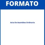 Formato De Acta De Asamblea Ordinaria