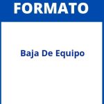 Formato De Baja De Equipo