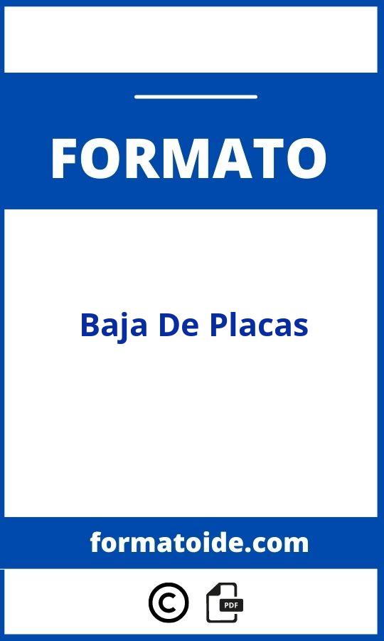 Formato De Baja De Placas