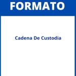 Formato De Cadena De Custodia