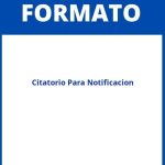 Formato De Citatorio Para Notificacion