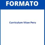 Formato De Curriculum Vitae Peru