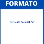 Formato De Encuesta Salarial Pdf