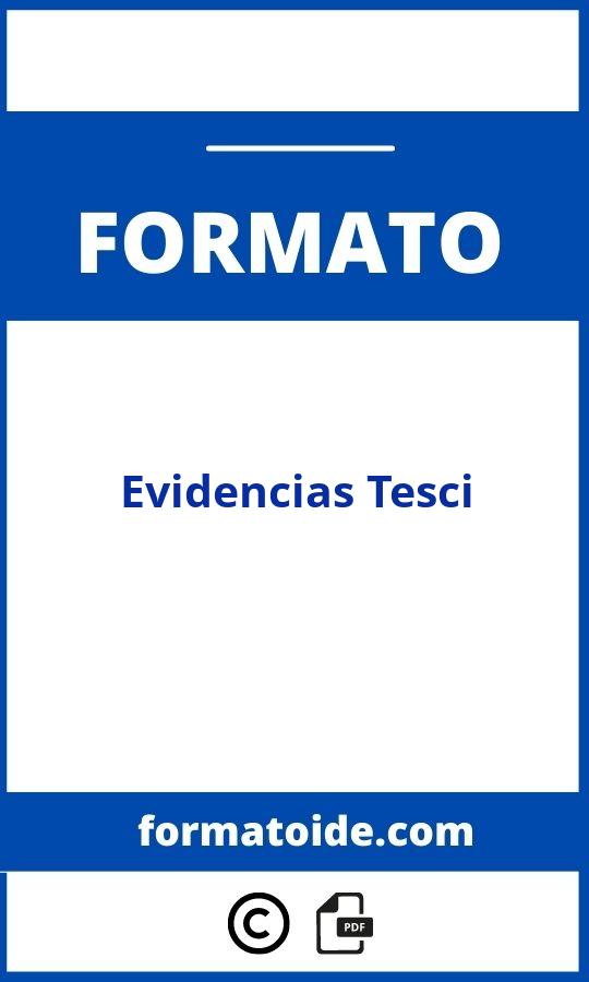 Formato De Evidencias Tesci