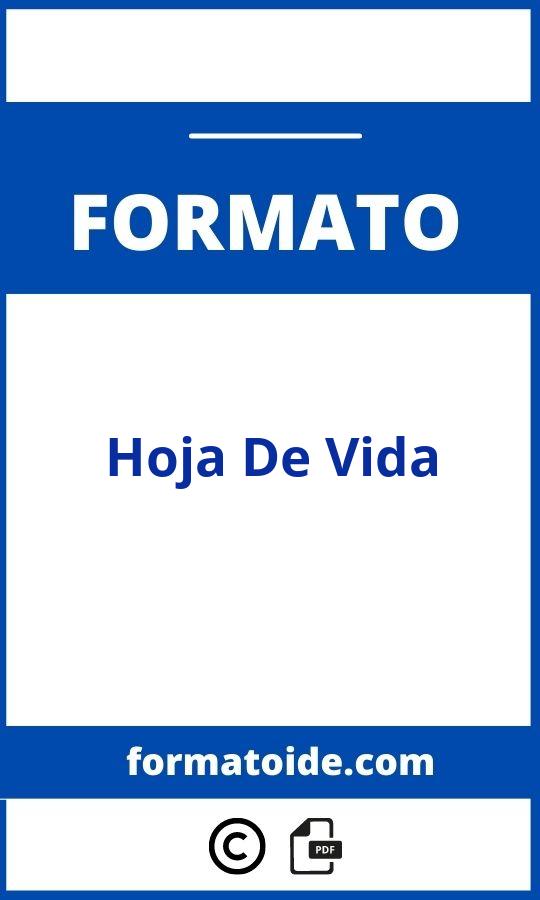 Formato De Hoja De Vida 2016