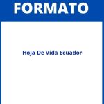 Formato De Hoja De Vida Ecuador