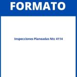 Formato De Inspecciones Planeadas Ntc 4114