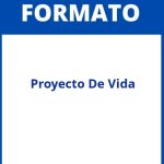 Formato De Proyecto De Vida