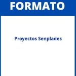 Formato De Proyectos Senplades