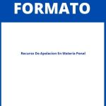 Formato De Recurso De Apelacion En Materia Penal