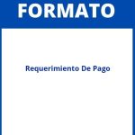 Formato De Requerimiento De Pago