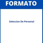 Formato De Seleccion De Personal