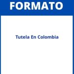 Formato De Tutela En Colombia
