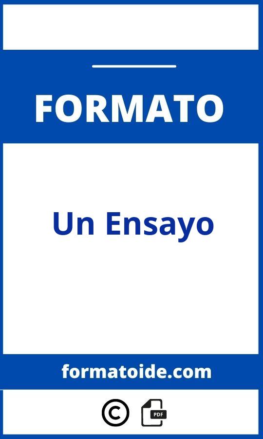 Formato De Un Ensayo