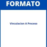 Formato De Vinculacion A Proceso