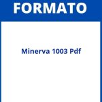 Formato Minerva 1003 Pdf