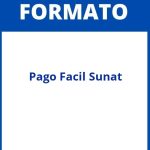 Formato Pago Facil Sunat