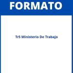 Formato Tr5 Ministerio De Trabajo